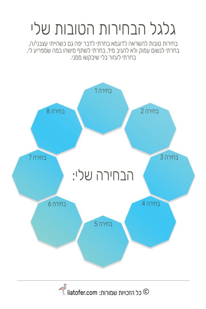 הבחירות שלי