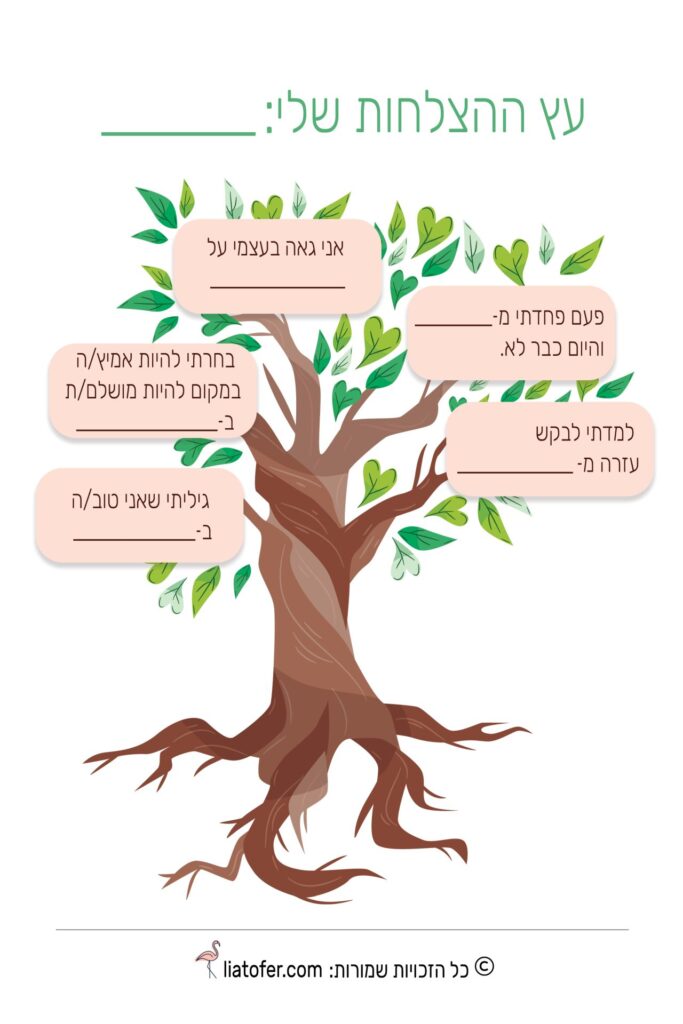 ההצלחות שלי