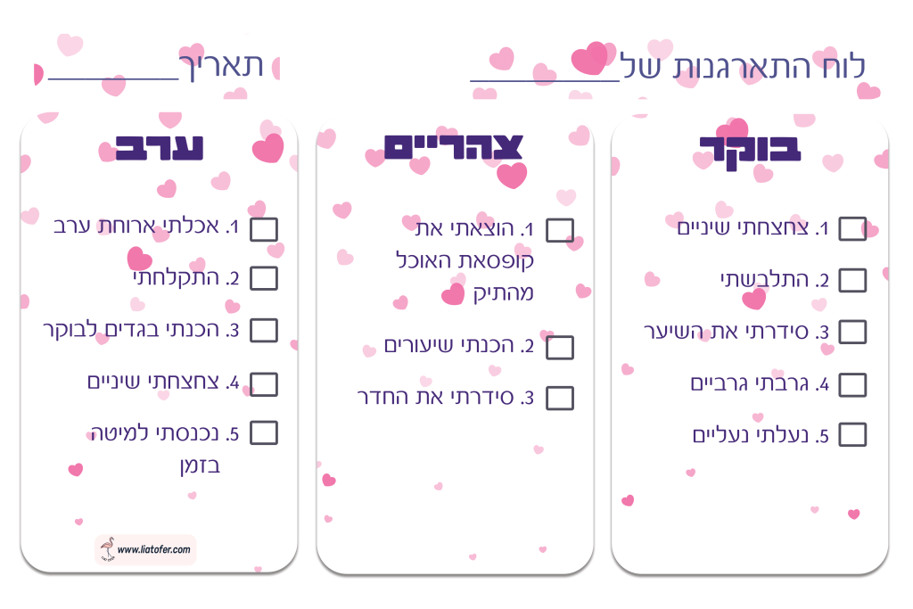 לוח התארגנות 16