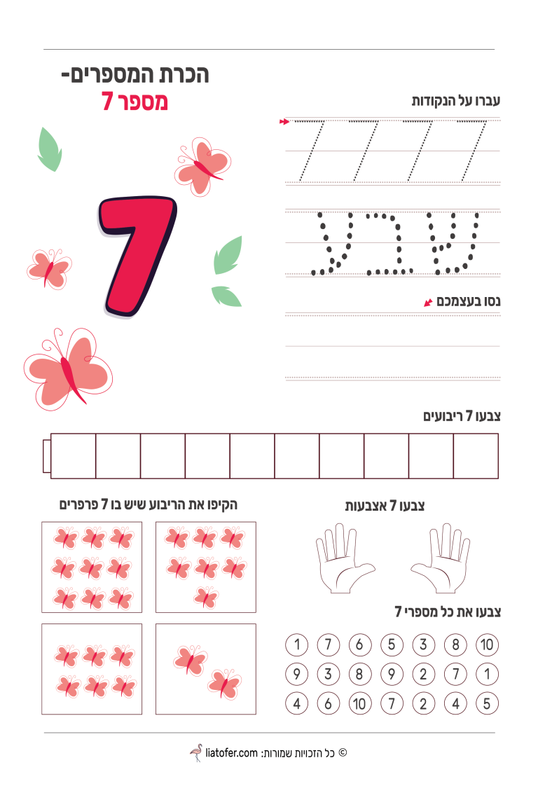 מספר 7