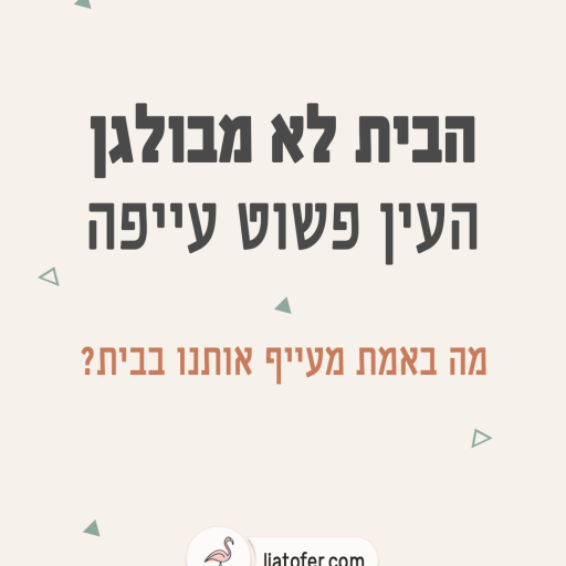 הבית לא מבולגן