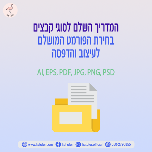 המדריך השלם לסוגי קבצים