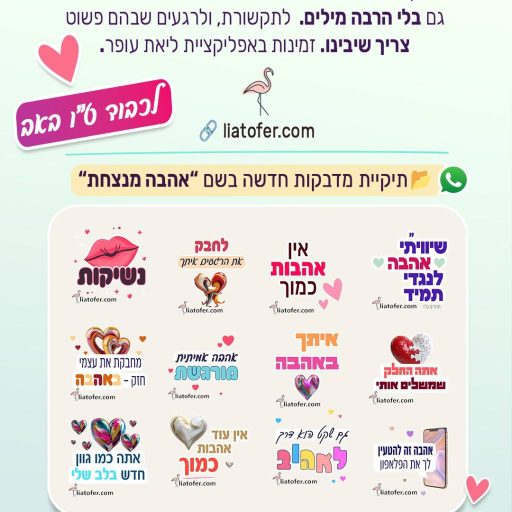 תיקיית מדבקות אהבה מנצחת
